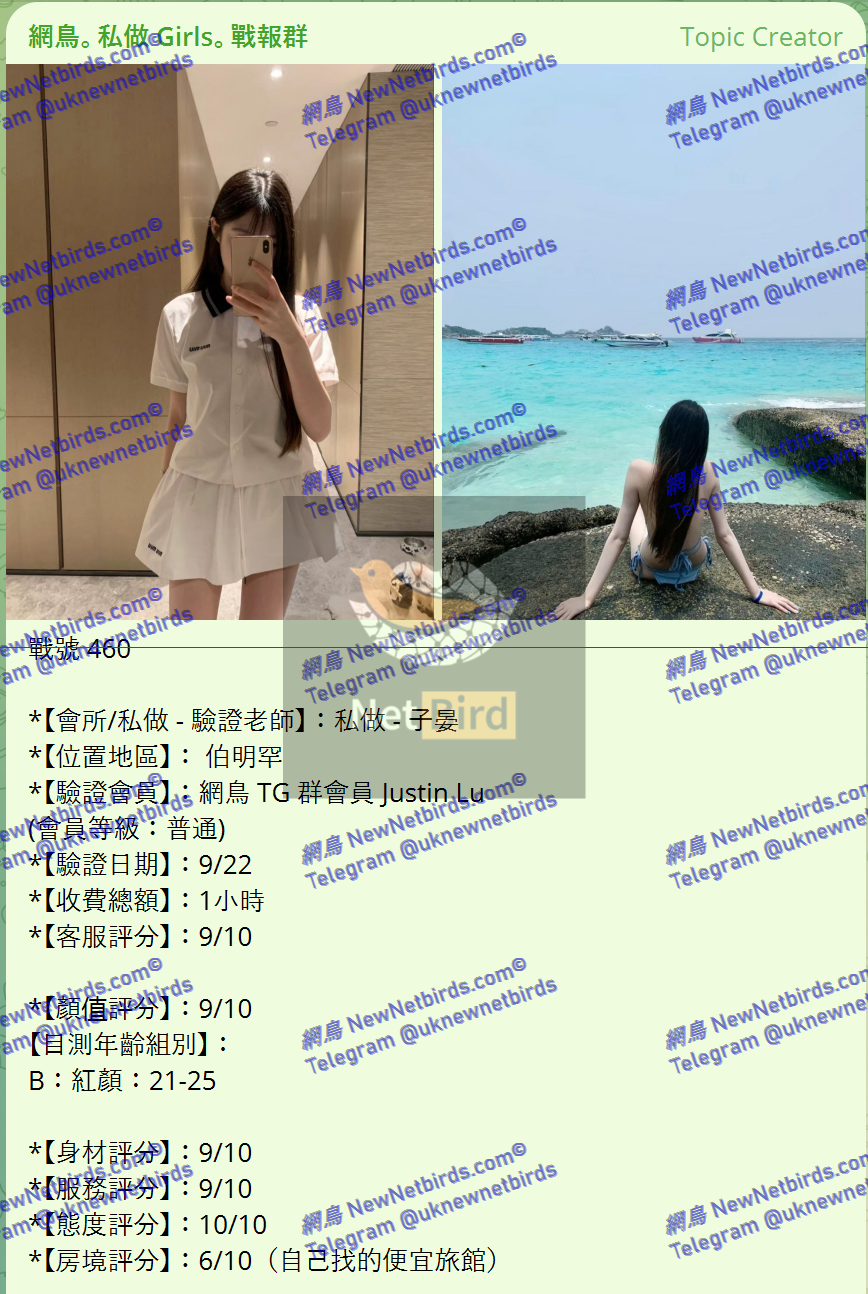 戰號 460 1.png